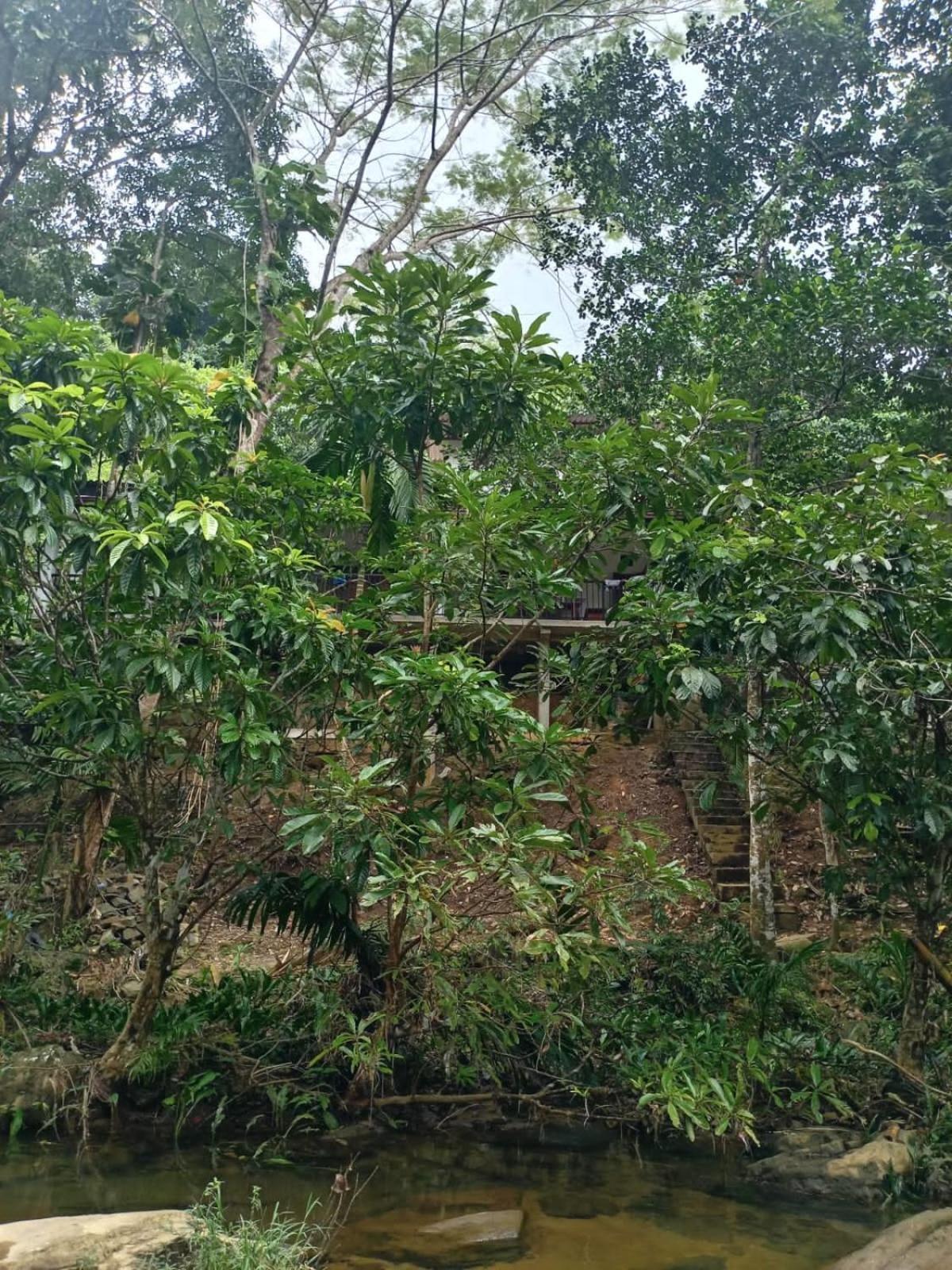 Old Bridge Riverside Hotel Kitulgala Eksteriør bilde